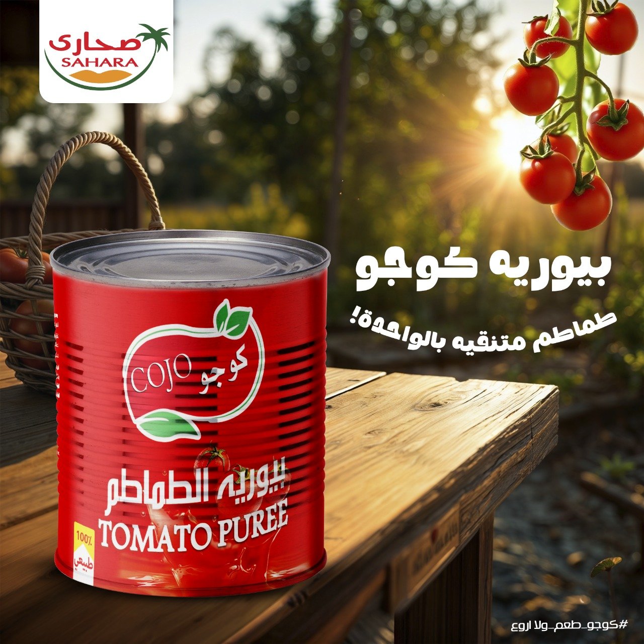 WhatsApp Image 2025-10-06 at 2.05.07 AM (7)