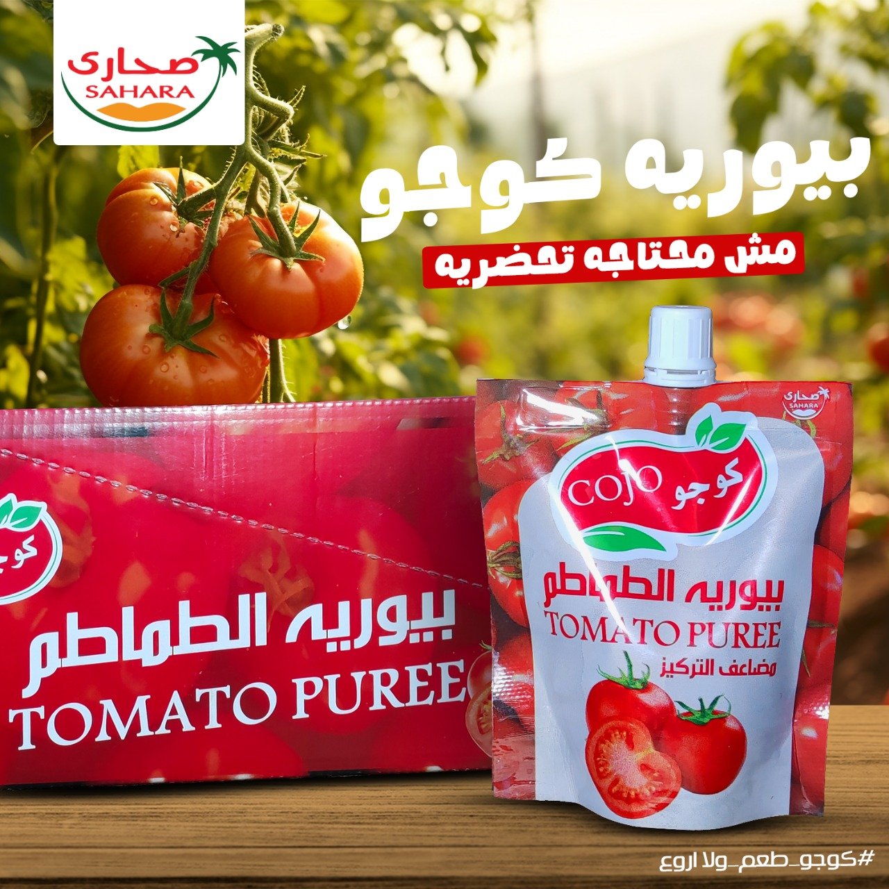 WhatsApp Image 2025-10-06 at 2.05.08 AM (10)