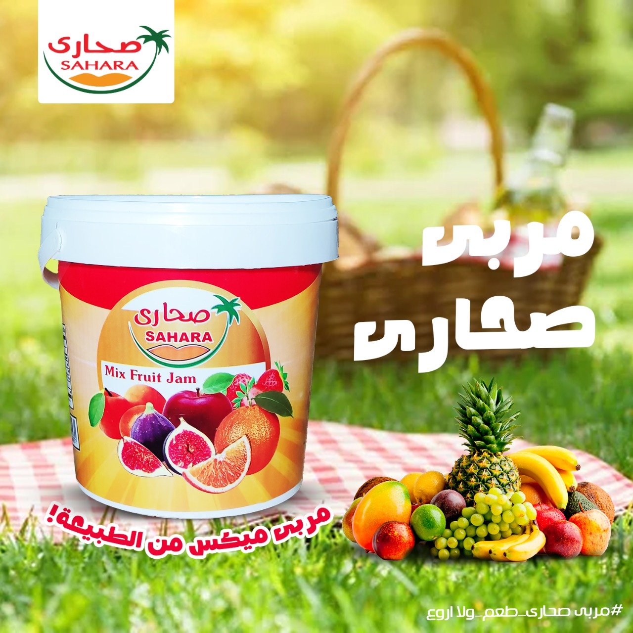 WhatsApp Image 2025-10-06 at 2.05.08 AM (4)