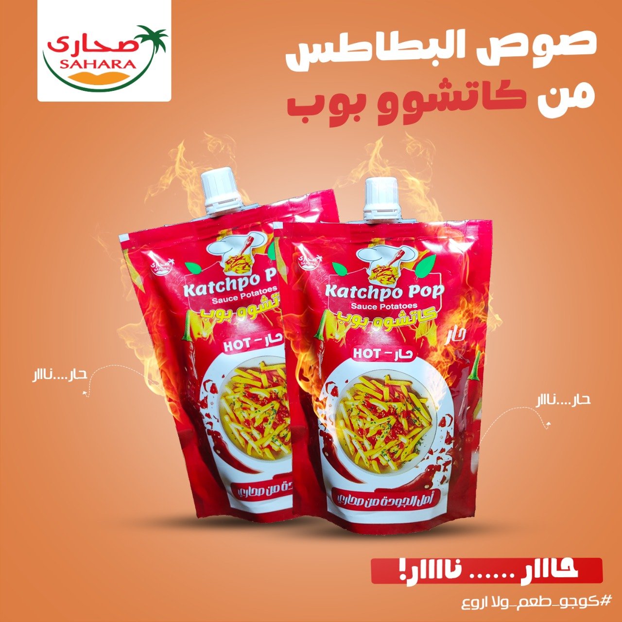 WhatsApp Image 2025-10-06 at 2.05.08 AM